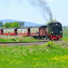 T02201 997238 Stiege - 20100521 Harz