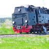 T02204 997238 Stiege - 20100521 Harz