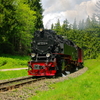 T02476 997232 Sorge - 20100524 Harz