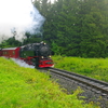 T02447 997241 Drei Annen Hohne - 20100524 Harz