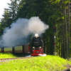 T02456 997234 Drei Annen Hohne - 20100524 Harz