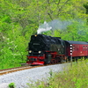 T02471 997232 Elend - 20100524 Harz