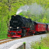 T02472 997232 Elend - 20100524 Harz