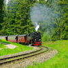 T02473 997232 Sorge - 20100524 Harz