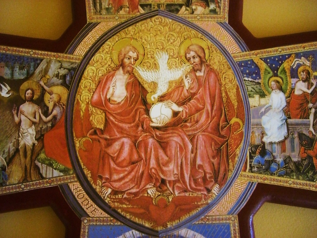 CIMG7372 - ZdjÄ™cia rÃ³Å¼ne