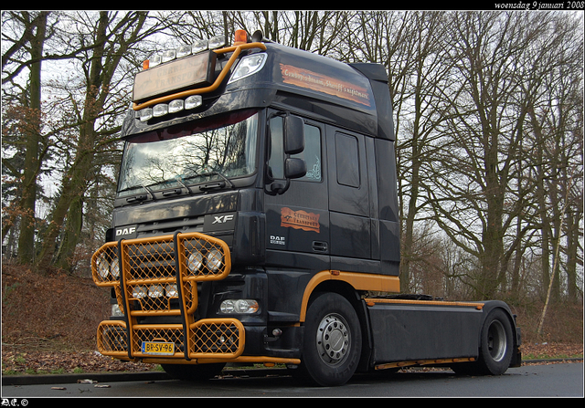 DSC 7909-border Gerritsen Transport - Dieren