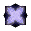 sum fink speciao - Virus Leaves