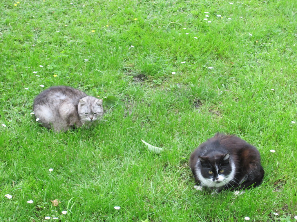 IMG 5194 - Polska 2010