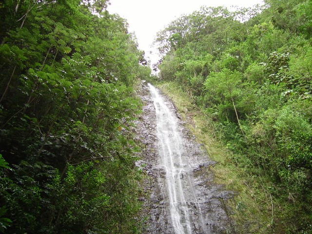 imgp0233 Hawaii