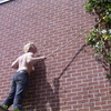 Klimop eraf met Niels Wessi... - In de tuin 2010