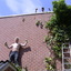 Klimop eraf met Niels Wessi... - In de tuin 2010