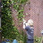 Klimop eraf met Niels Wessi... - In de tuin 2010