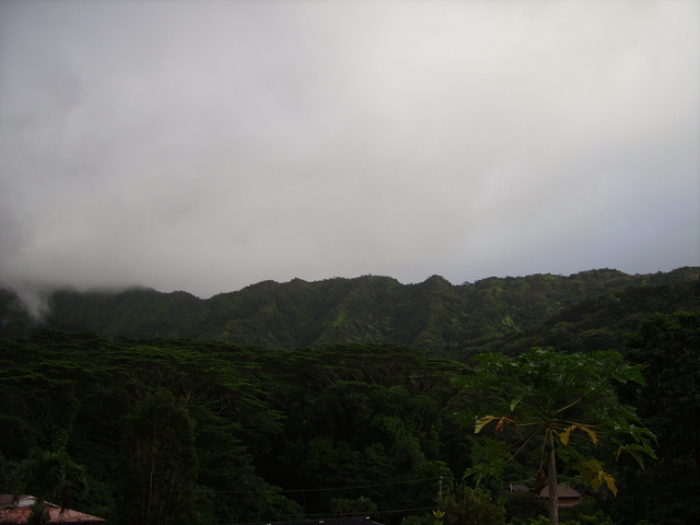 imgp0253 Hawaii