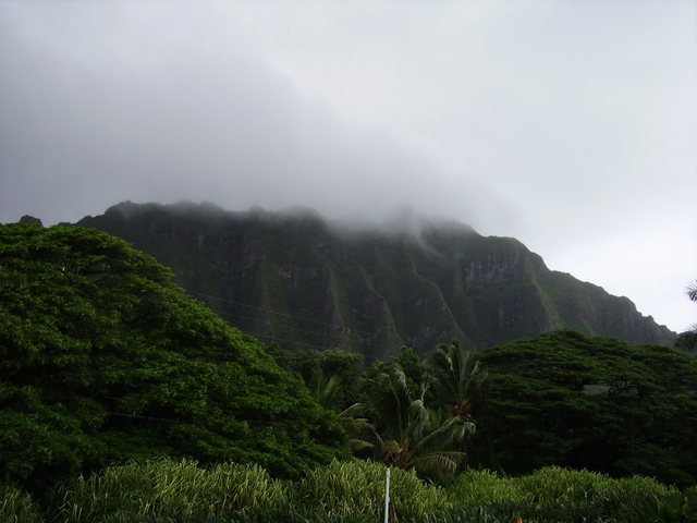 imgp0292 Hawaii