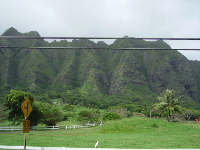 imgp0297 Hawaii