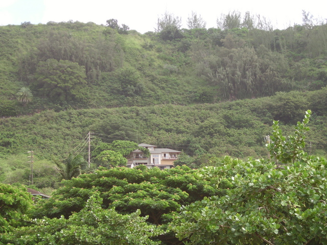 imgp0309 Hawaii