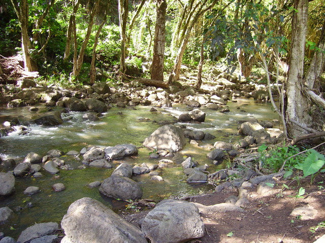 imgp0362 Hawaii