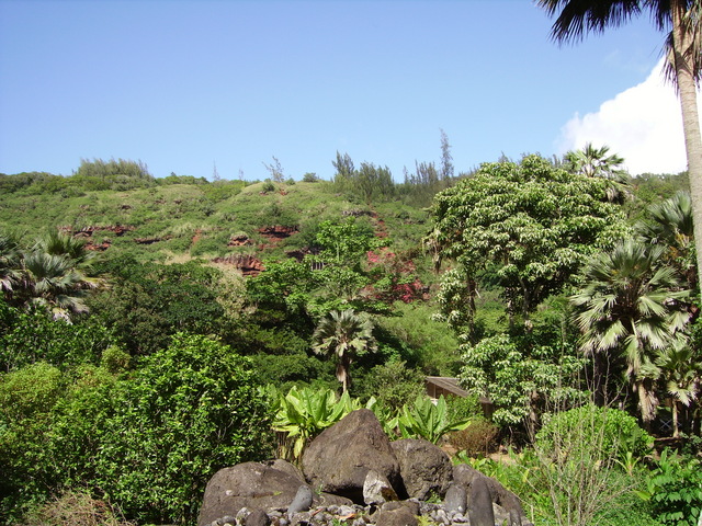 imgp0365 Hawaii