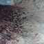 DSC03726 - from Sony camera