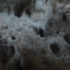 DSC03731 - from Sony camera