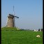 Molen 2 - Nature calls