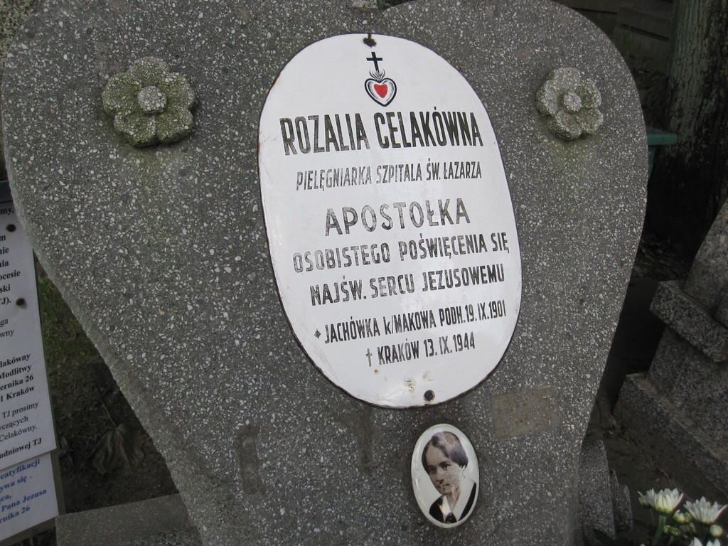 IMG 5589 - Polska 2010