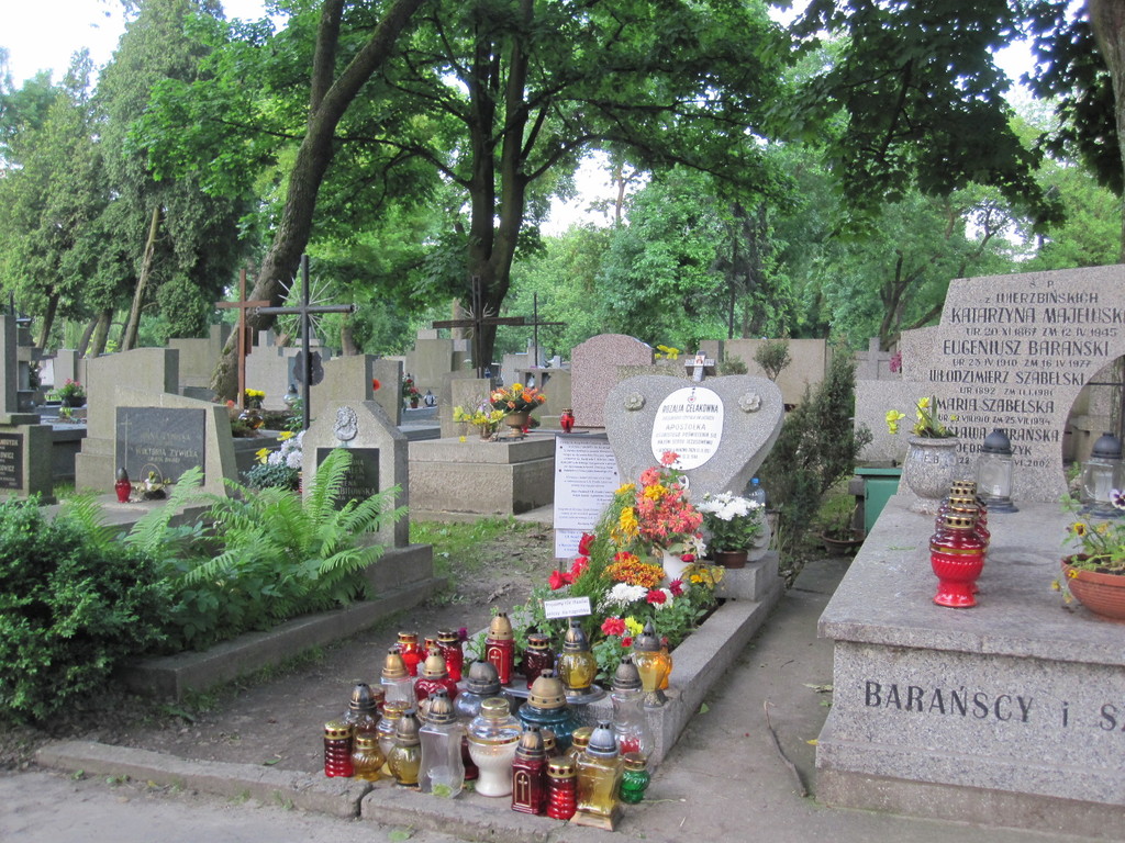 IMG 5594 - Polska 2010