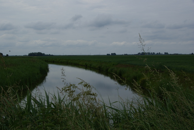 DSC01007 Rondje Voorne 13 juni 2010