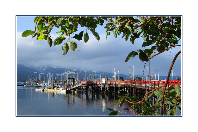 deep bay with arbutus Vancouver Island
