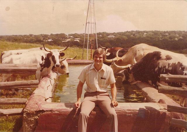 dad cows Dad