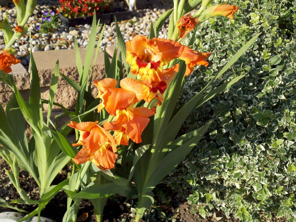 2010-06-20-outdoor - Copy - 