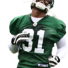 JetsAntonioCromartie - NFL Players render cuts!