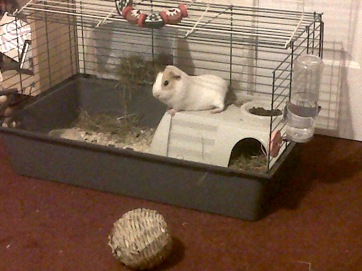 IMG00439-20100620-2121 - 