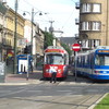 IMG 8303 - Polska 2010