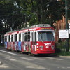 IMG 8306 - Polska 2010