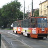 IMG 8293 - Polska 2010