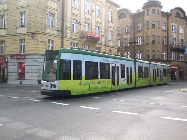 IMG 8361 Polska 2010
