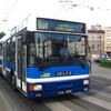 IMG 8316 - Polska 2010