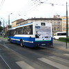IMG 8319 - Polska 2010
