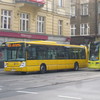 IMG 8340 - Polska 2010