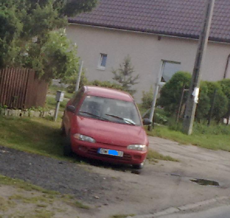 Colt na sprzedaÅ¼ PAsikurowice - 