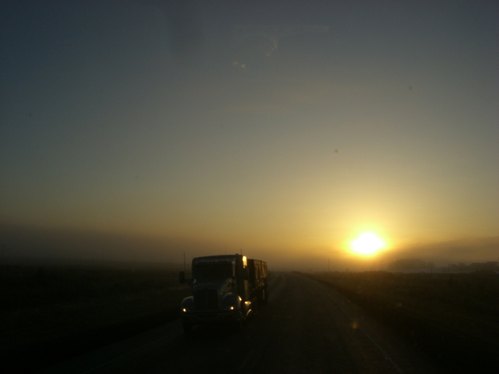 FILE090 Trips