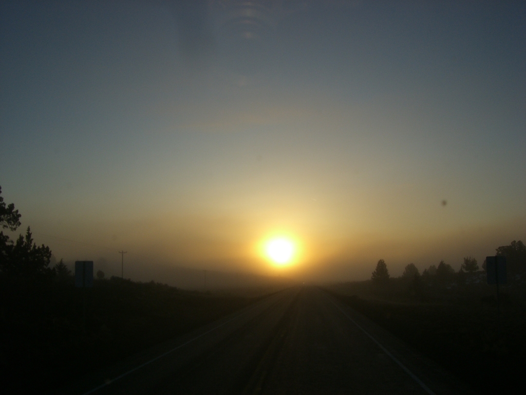 FILE084 Trips