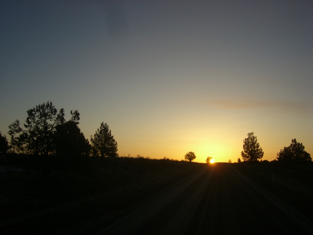 FILE069 Trips