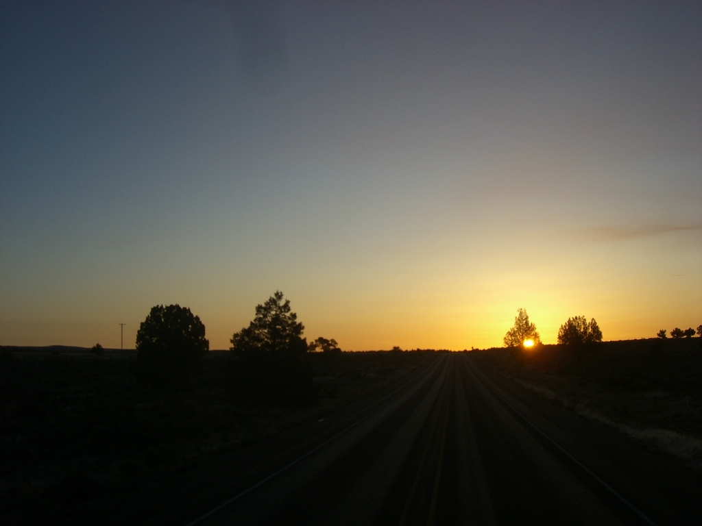 FILE060 Trips