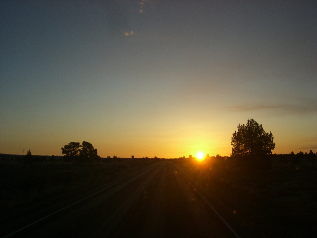 FILE056 Trips