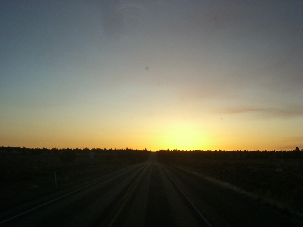 FILE051 Trips