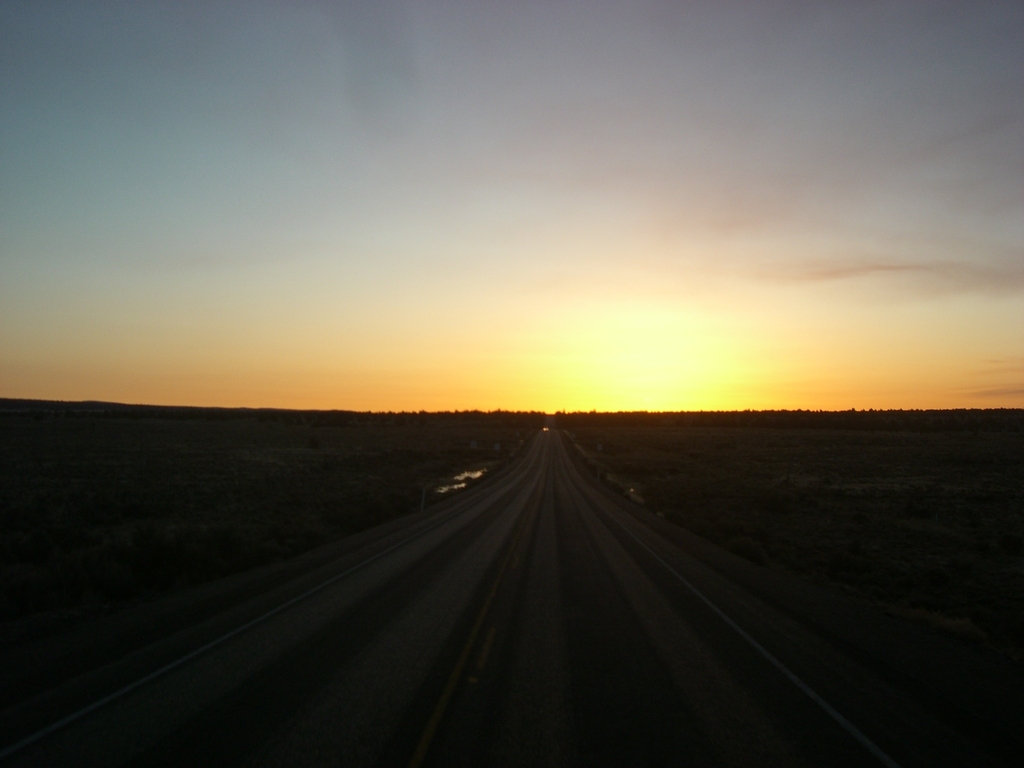 FILE049 Trips