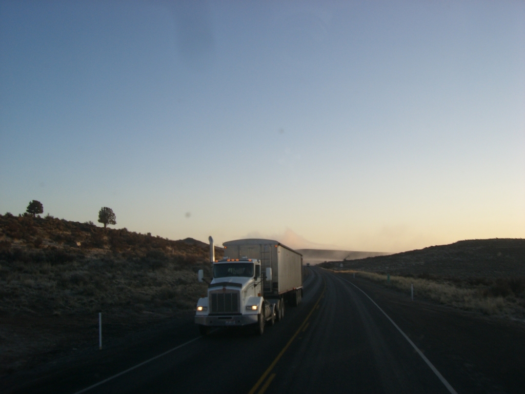 FILE111 Trips