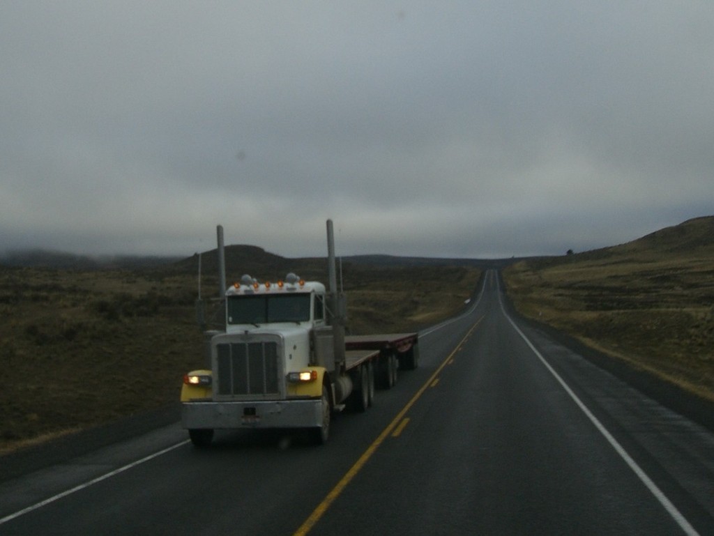 FILE185 Trips